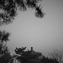 《野狗子》通关需15小时 主机版最高以4k＆60帧运行